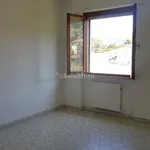 Rent 4 bedroom apartment of 75 m² in Cogorno