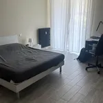 Rent 3 bedroom apartment of 80 m² in Novara