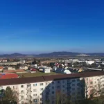 Rent 1 bedroom apartment in Šumperk