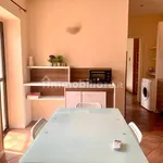 Rent 2 bedroom apartment of 45 m² in Piacenza