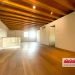 Rent 5 bedroom house of 200 m² in Vicenza