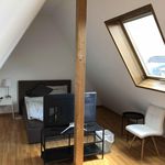 Rent 5 bedroom apartment in Frankfurt