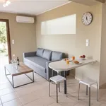 Rent 1 bedroom apartment of 48 m² in Vathy