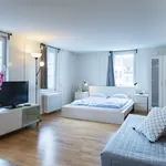 Miete 1 Schlafzimmer wohnung von 28 m² in Zug