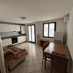 Rent 1 bedroom apartment of 45 m² in udine