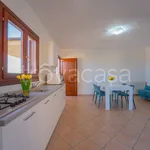 Rent 3 bedroom apartment of 80 m² in Olbia