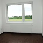 Pronajměte si 4 ložnic/e byt o rozloze 84 m² v Velký Osek