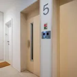 Rent 1 bedroom apartment in Porto