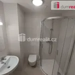 Pronajměte si 2 ložnic/e byt o rozloze 57 m² v Pilsen