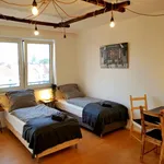 Miete 1 Schlafzimmer wohnung von 75 m² in Hanover