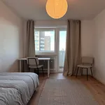 Rent 3 bedroom apartment of 76 m² in München