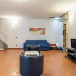 Rent 1 bedroom apartment in Florence