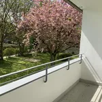 Rent 4 bedroom apartment of 67 m² in Gelsenkirchen