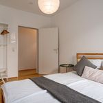 Rent 2 bedroom apartment of 50 m² in Kassel