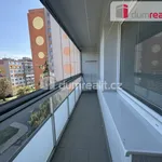 Rent 1 bedroom apartment in Most