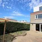 Rent 4 bedroom house of 105 m² in Rotterdam