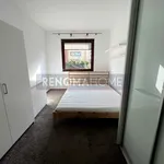 Rent 2 bedroom apartment of 55 m² in Wrocław