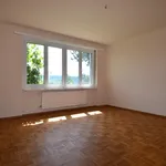 Neu renovierte 4.5 Zimmer Wohnung im Erdgeschoss mit Blick ins Grüne