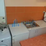 Rent 1 bedroom apartment in Lovnic