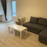 Rent 1 bedroom apartment of 70 m² in Brno