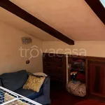 Rent 3 bedroom apartment of 100 m² in Torino