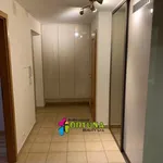 Rent 3 bedroom apartment in Capital City of Prague