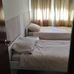 Alquilar 4 dormitorio apartamento en Valencia