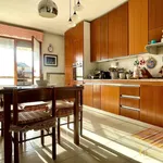 Rent 4 bedroom apartment of 130 m² in Parma