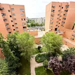 Rent a room in madrid