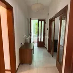 Rent 4 bedroom apartment of 80 m² in Rimini