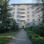 Rent 2 bedroom apartment of 52 m² in Prague