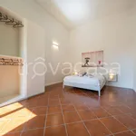 Rent 2 bedroom apartment of 35 m² in Modena