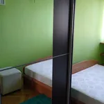 Rent 3 bedroom apartment of 57 m² in Łódź