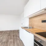 Pronájem bytu 1+kk 35m²