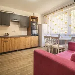 Rent 1 bedroom apartment of 30 m² in Ústí nad Labem