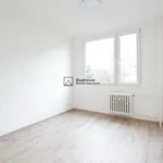 Rent 3 bedroom apartment of 63 m² in Prague