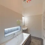 Rent 4 bedroom apartment of 100 m² in Trhový Štěpánov