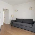 Rent 1 bedroom apartment in Milan