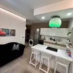 Rent 2 bedroom apartment of 50 m² in Torino