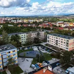 Pronajměte si 2 ložnic/e byt o rozloze 39 m² v Louny