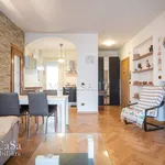 Rent 3 bedroom apartment of 75 m² in Pisa