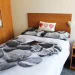 Large Ensuite room with Shared Kitchen - C (Has an Apartment)