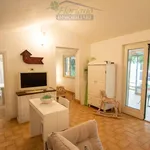 Rent 5 bedroom house of 115 m² in Montalto di Castro