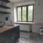 Rent 1 bedroom apartment of 24 m² in Capital City of Prague