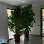 Rent 3 bedroom apartment of 110 m² in Milan