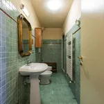 Rent 1 bedroom apartment in florence