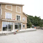 Affitto 1 camera appartamento di 35 m² in Castel Gandolfo