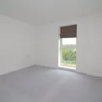 Rent 2 bedroom apartment in 8