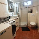 Rent 1 bedroom apartment of 41 m² in Prague