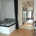 Rent 1 bedroom apartment of 30 m² in Krakow